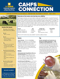 CAHFS Connection Newsletter May 2018