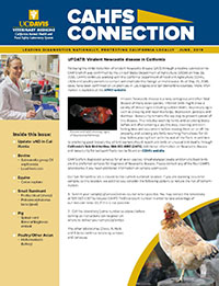 CAHFS Connection Newsletter June 2018