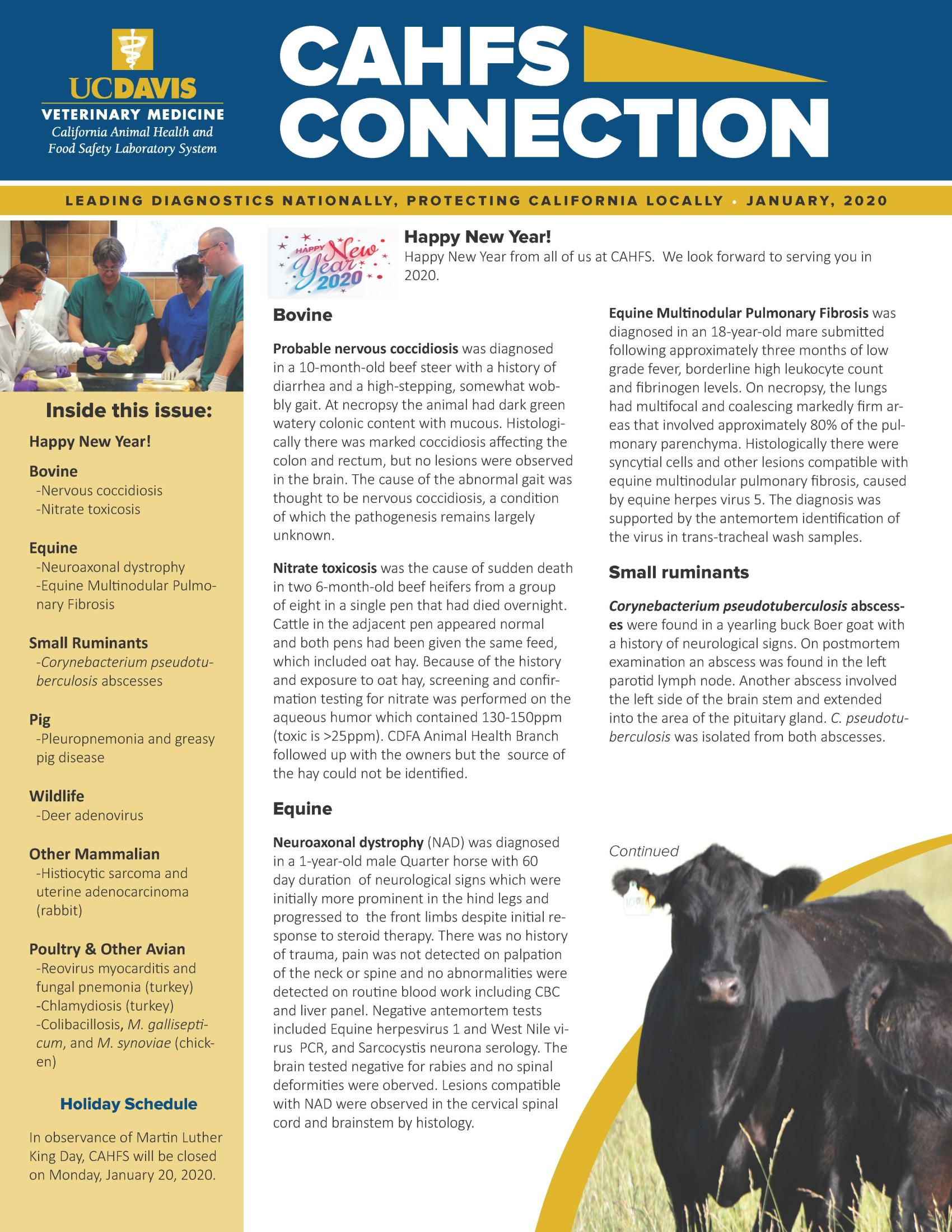 CAHFS Connection Newsletter January 2020