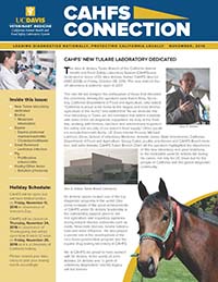 CAHFS Connection Newsletter November 2016