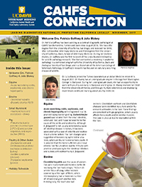 CAHFS Connection Newsletter November 2017