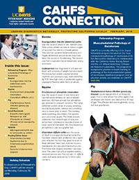 CAHFS Connection Newsletter February 2018