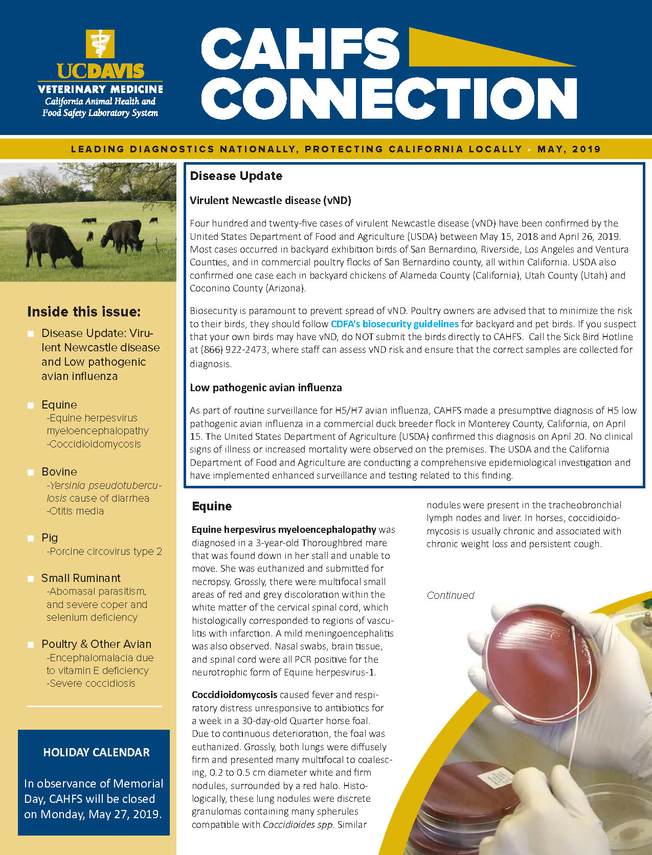 CAHFS Connection Newsletter May 2019