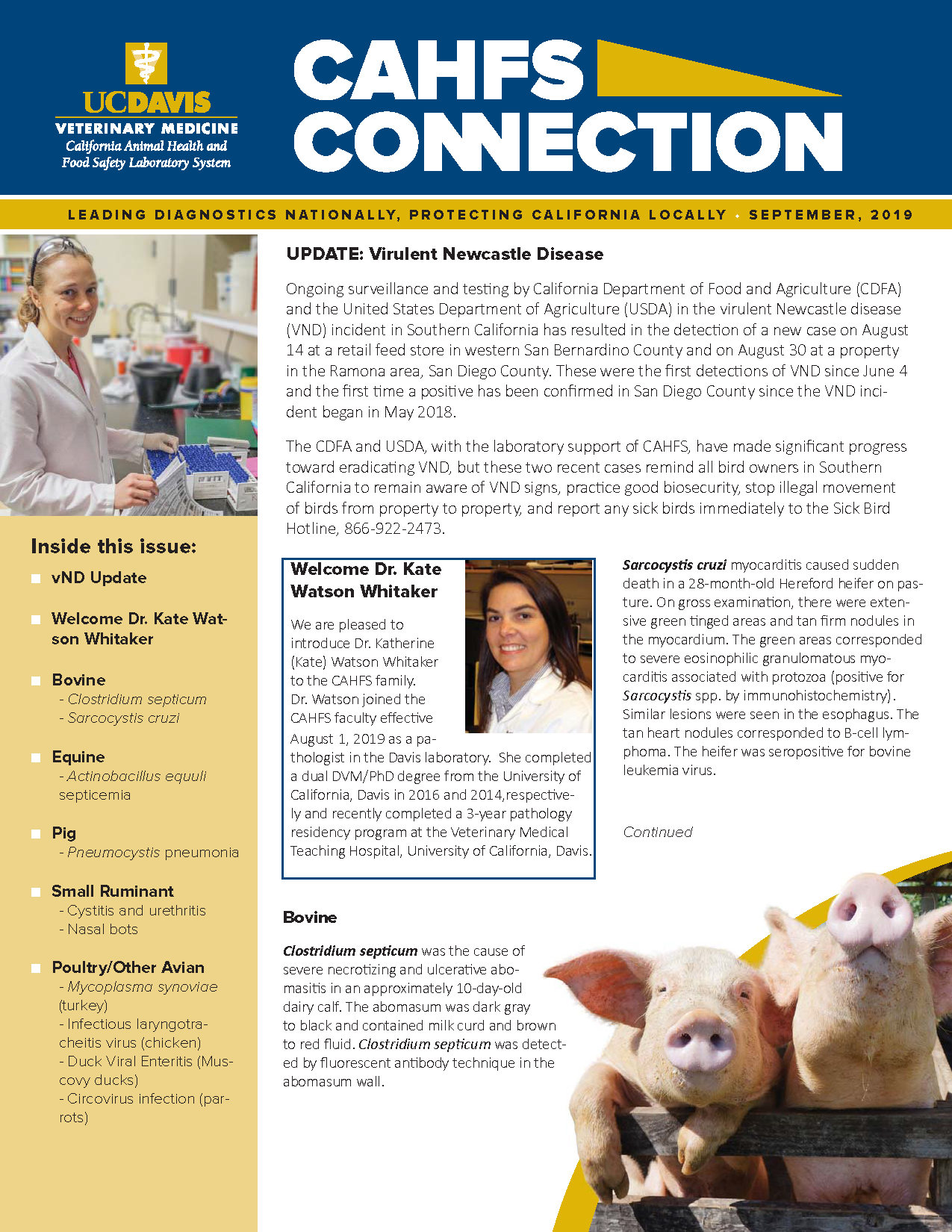CAHFS Connection Newsletter September 2019