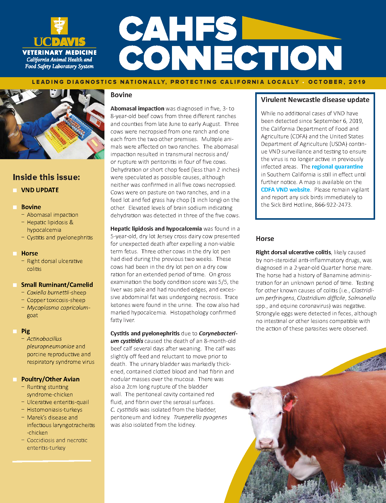 CAHFS Connection Newsletter October 2019