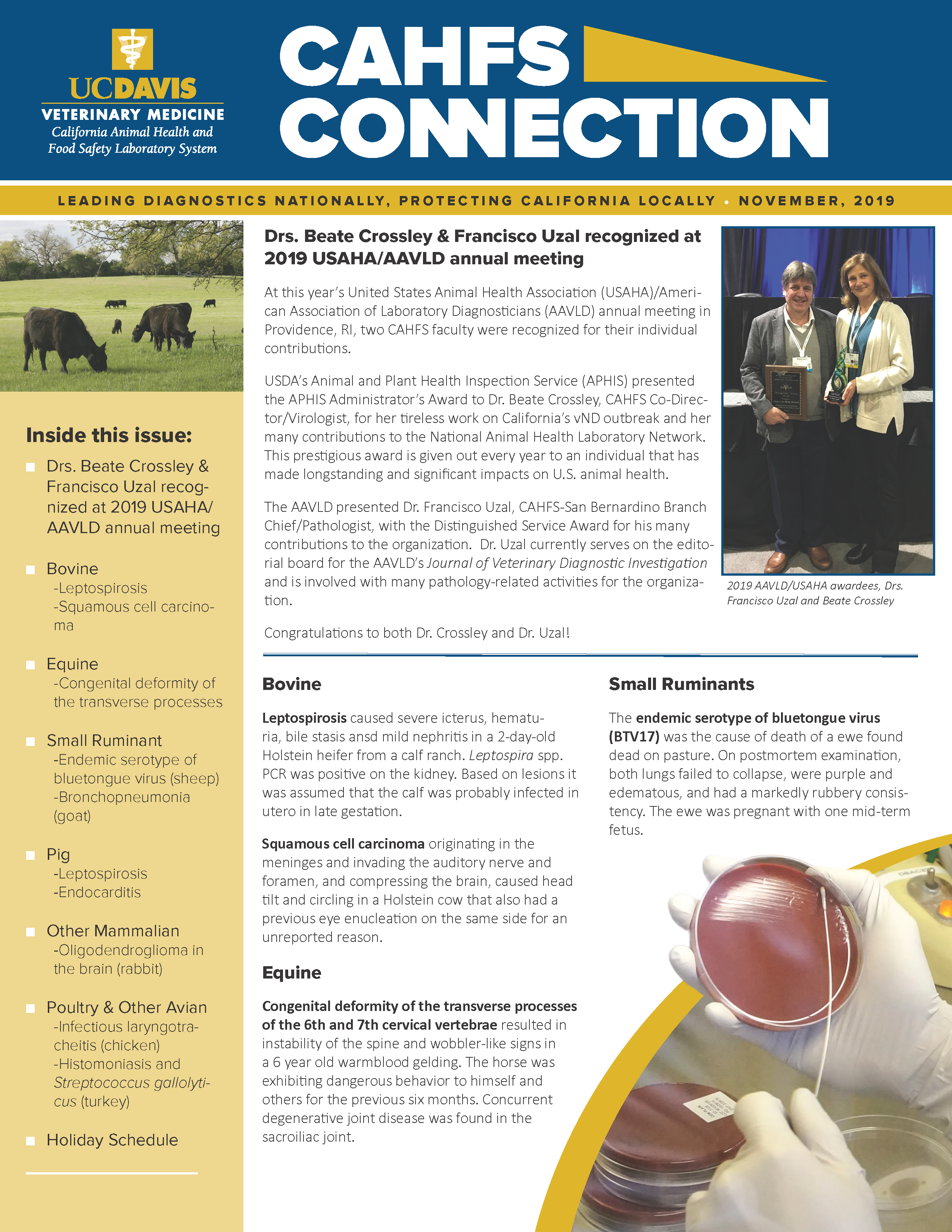 CAHFS Connection Newsletter November 2019