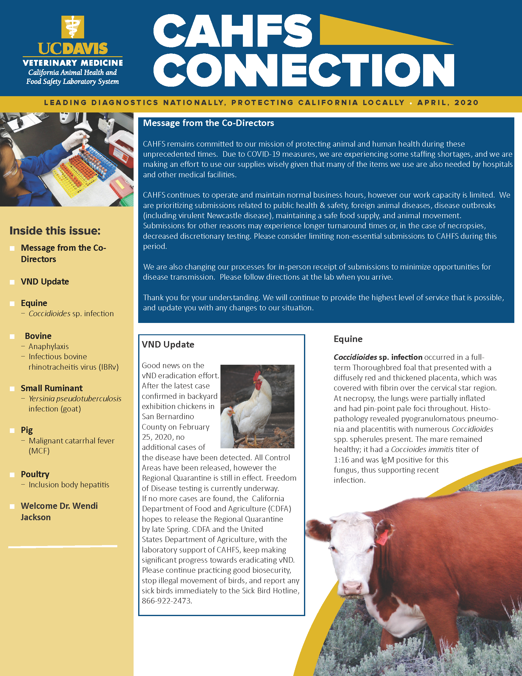 CAHFS Connection Newsletter April 2020