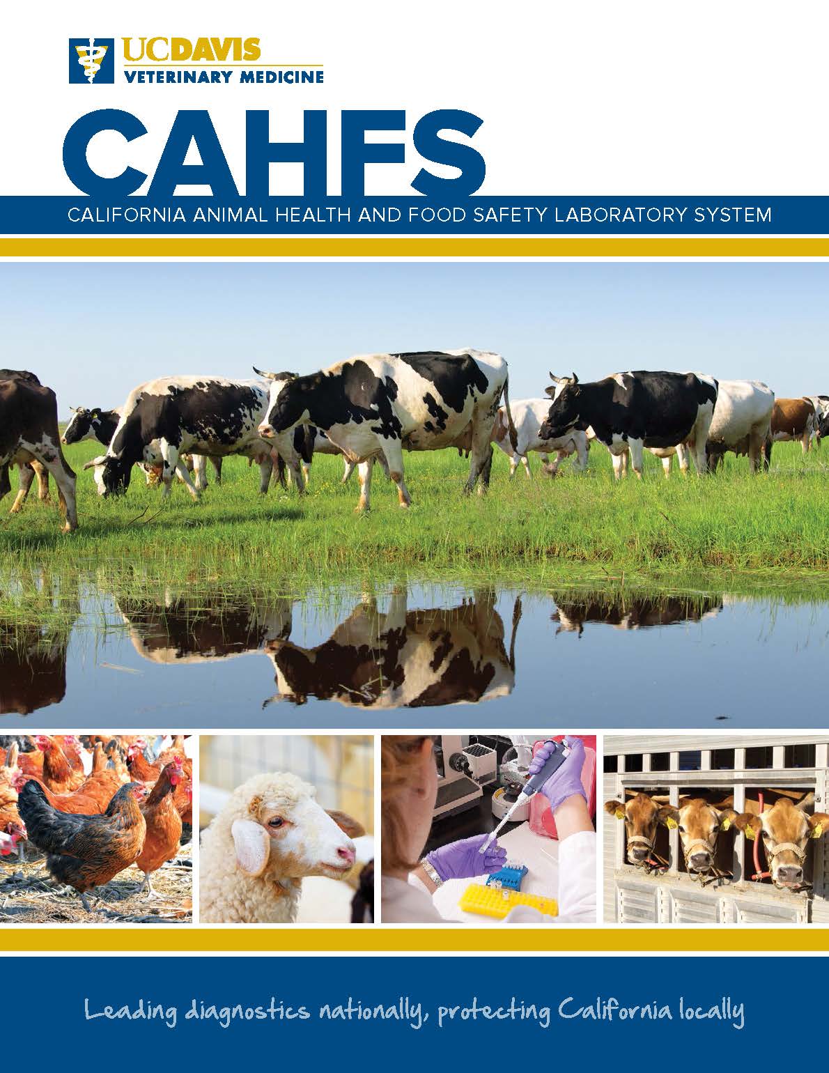 CAHFS Annual Report 2017
