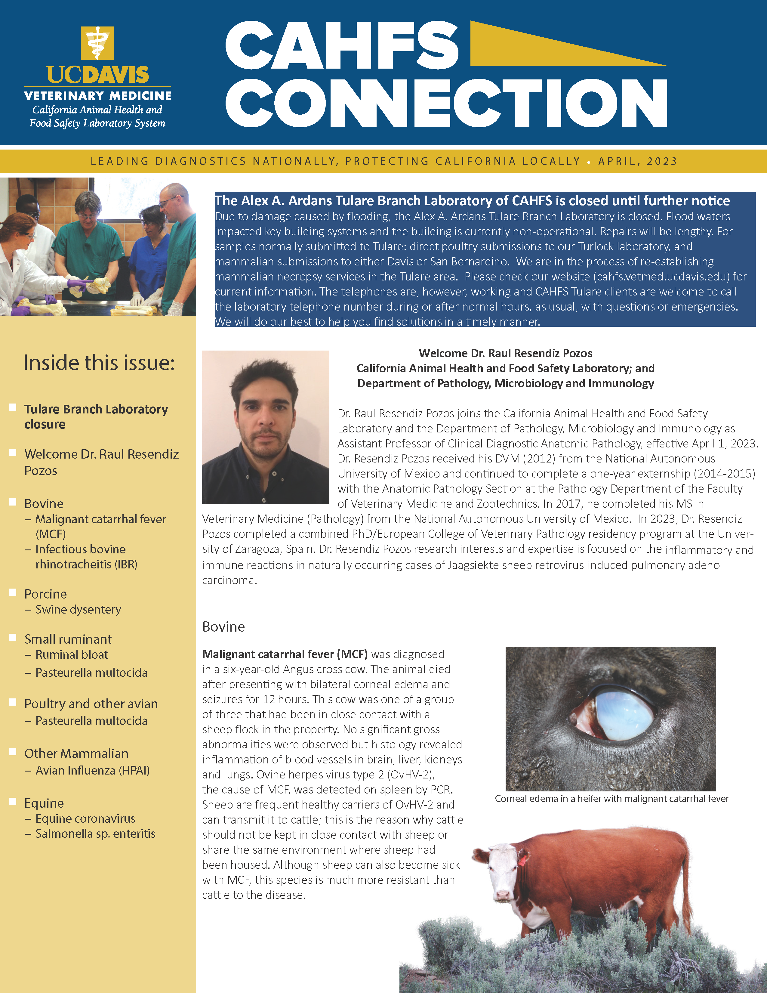 CAHFS Connection Newsletter April 2023