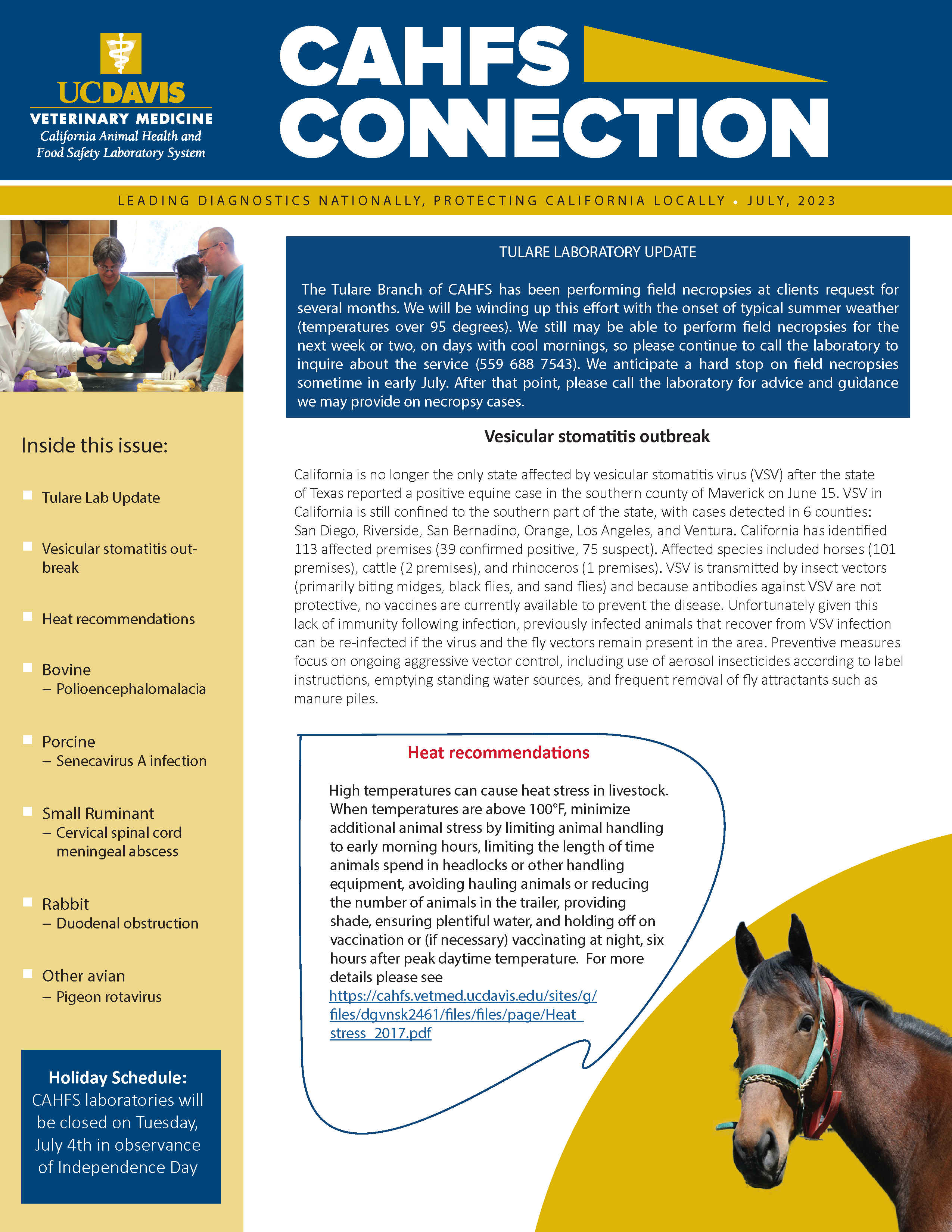 CAHFS Connection Newsletter July 2023