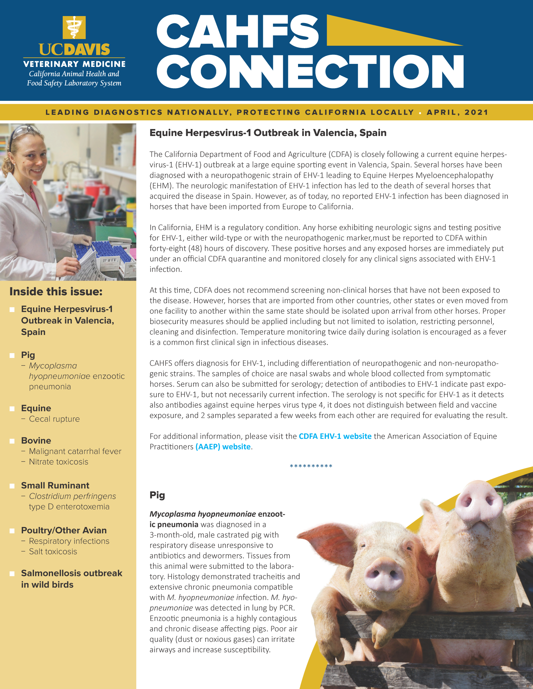 CAHFS Connection Newsletter April 2021