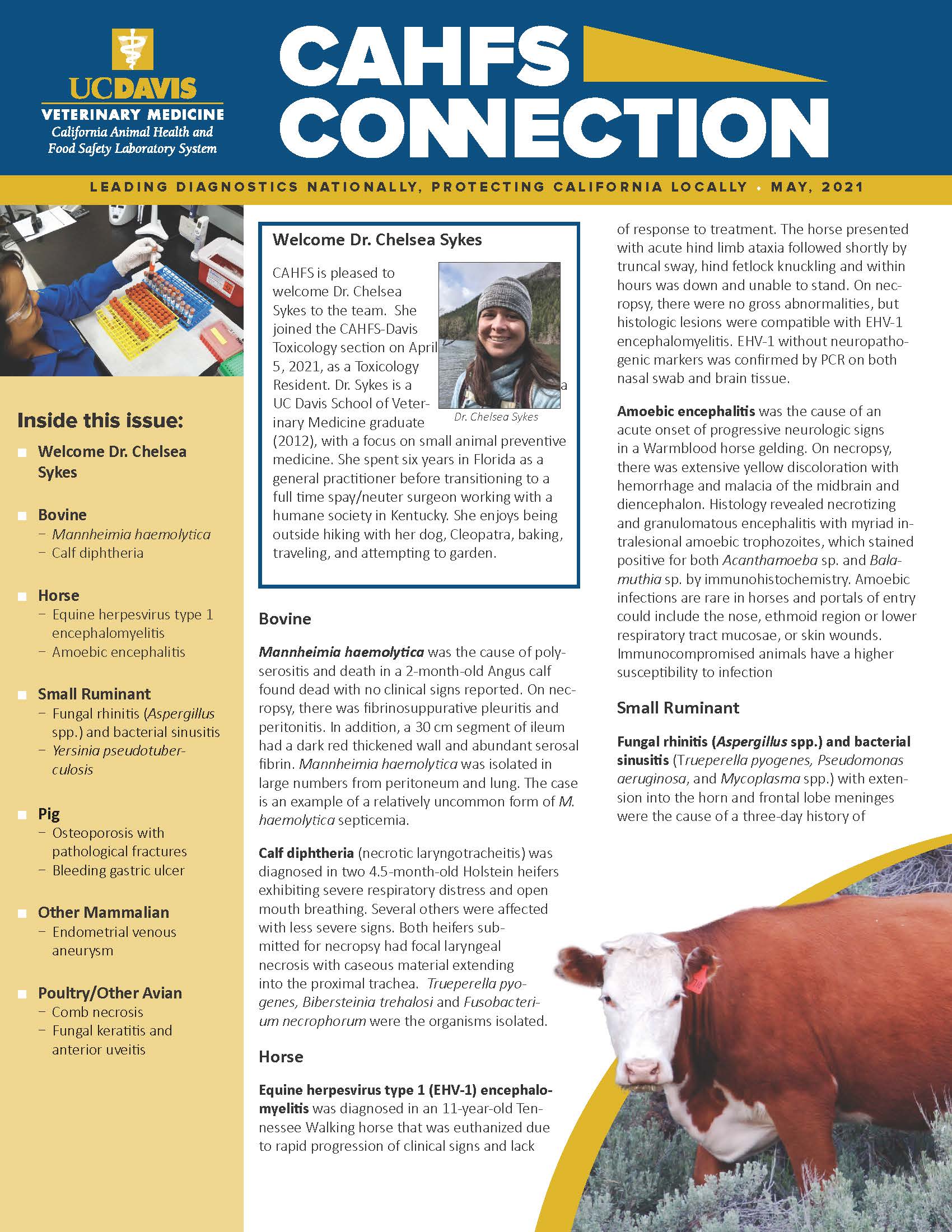 CAHFS Connection Newsletter May 2021