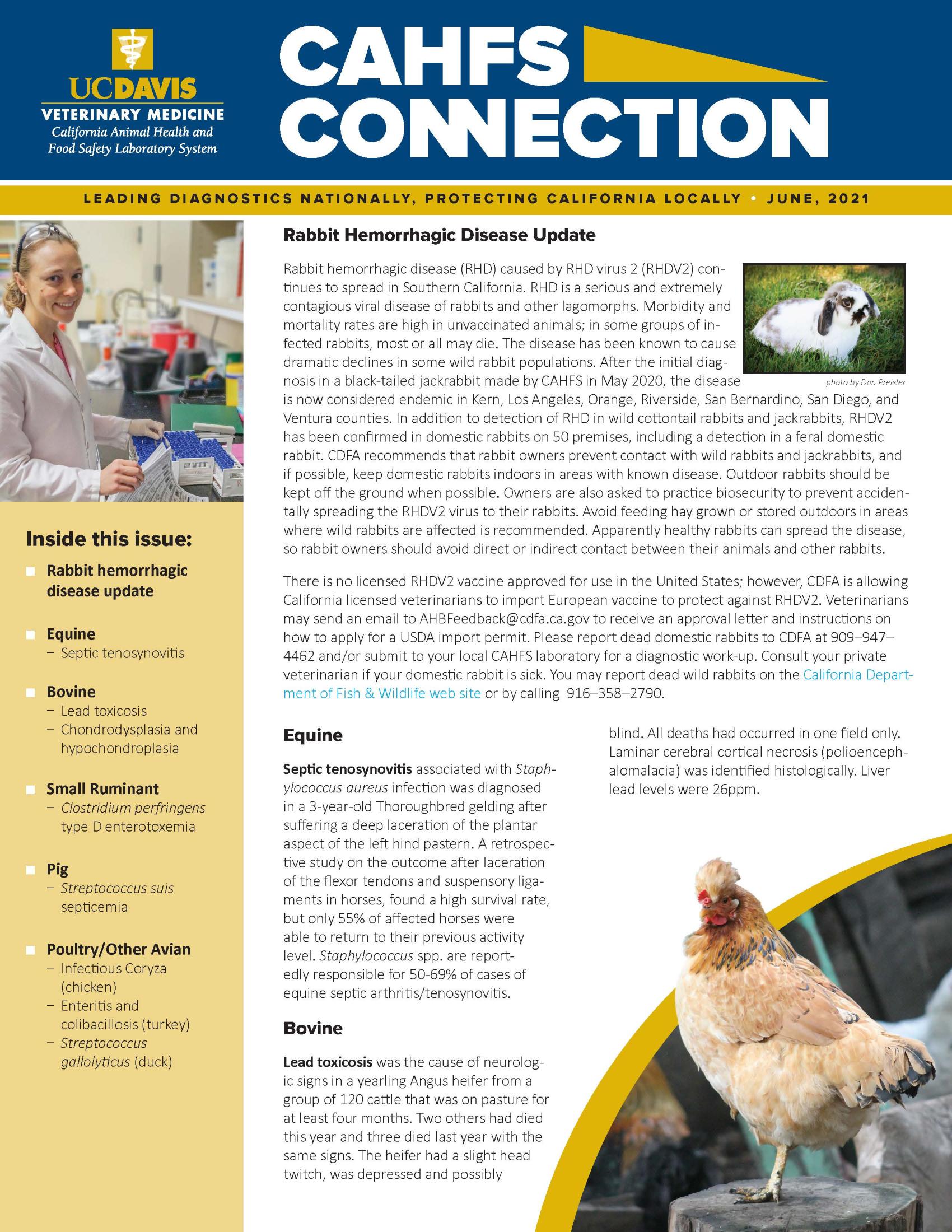 CAHFS Connection Newsletter June 2021
