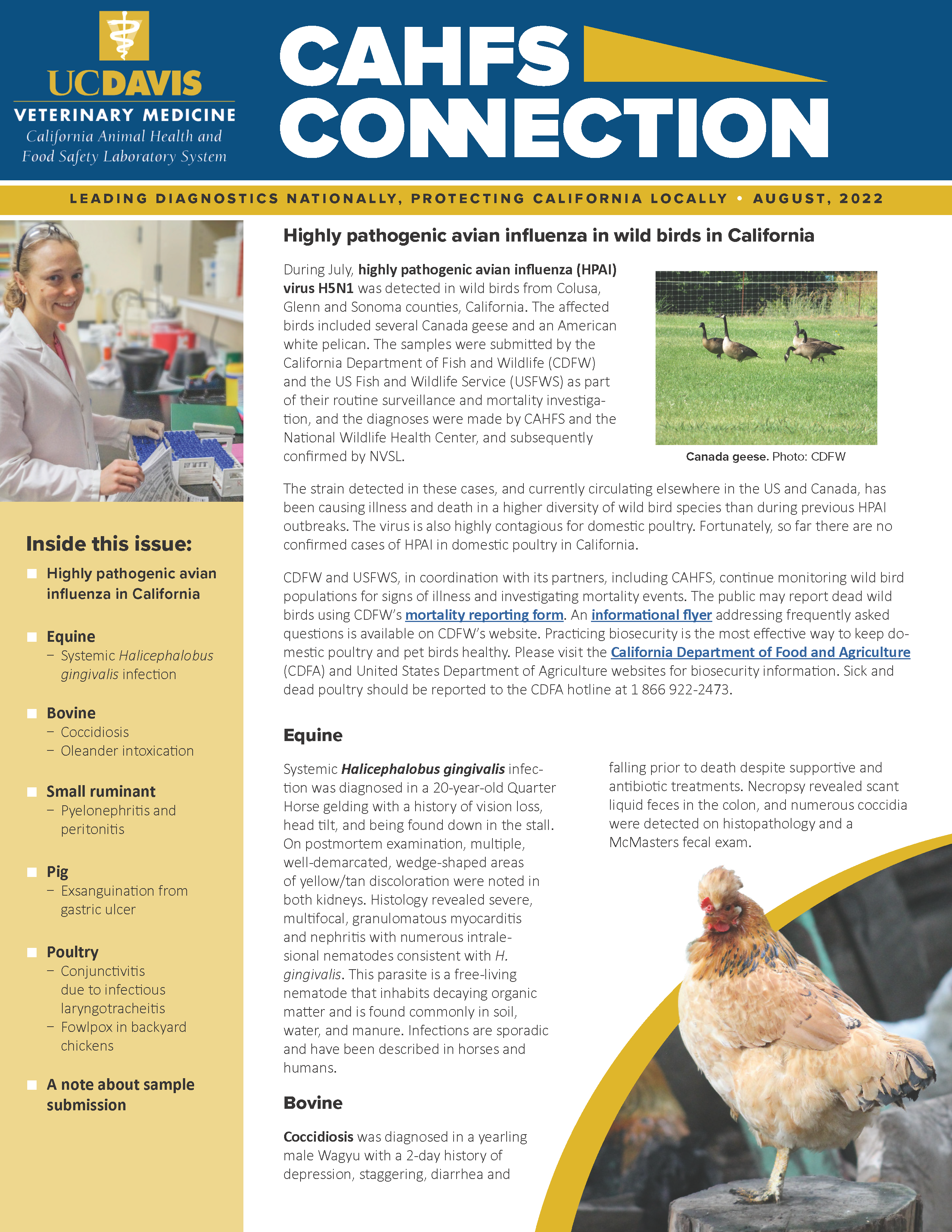 CAHFS Connection Newsletter August 2022