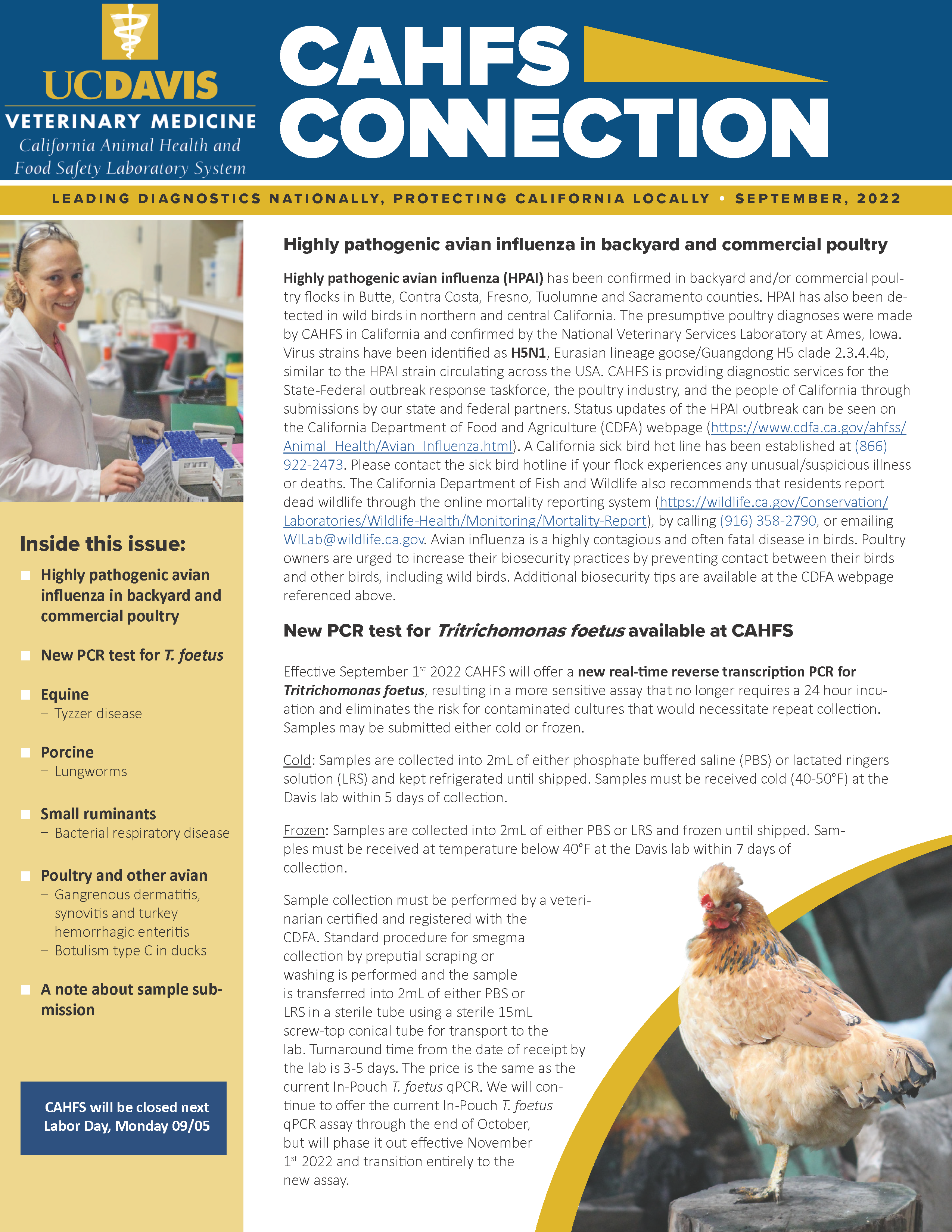 CAHFS Connection Newsletter September 2022
