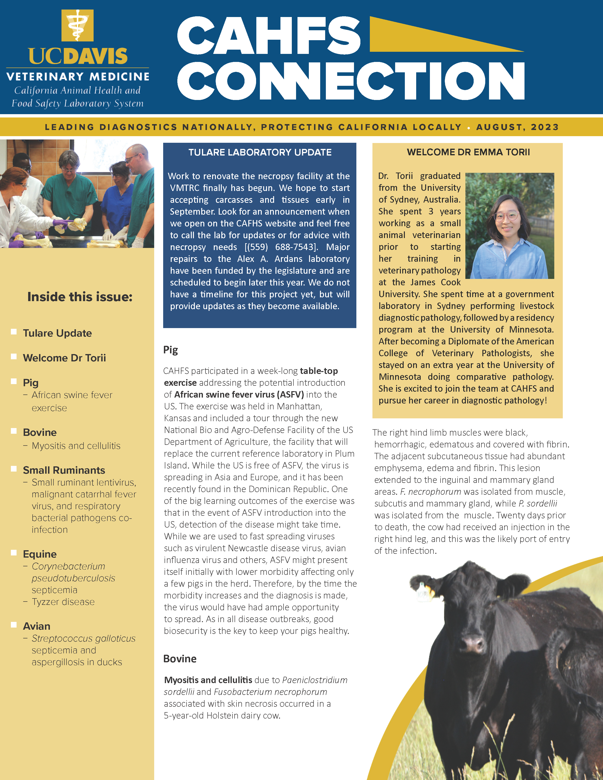 CAHFS Connection Newsletter August 2023