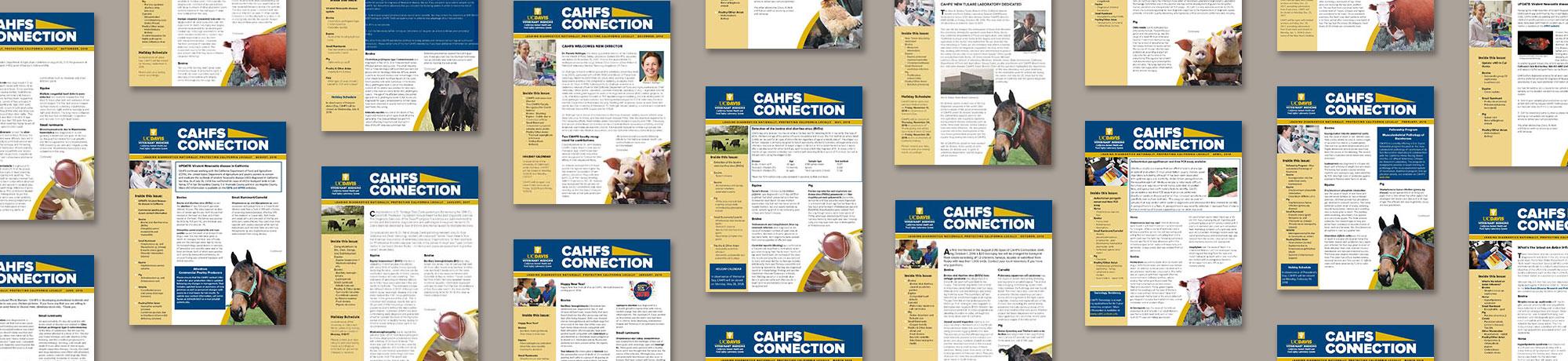 CAHFS Connection Newsletter Archive