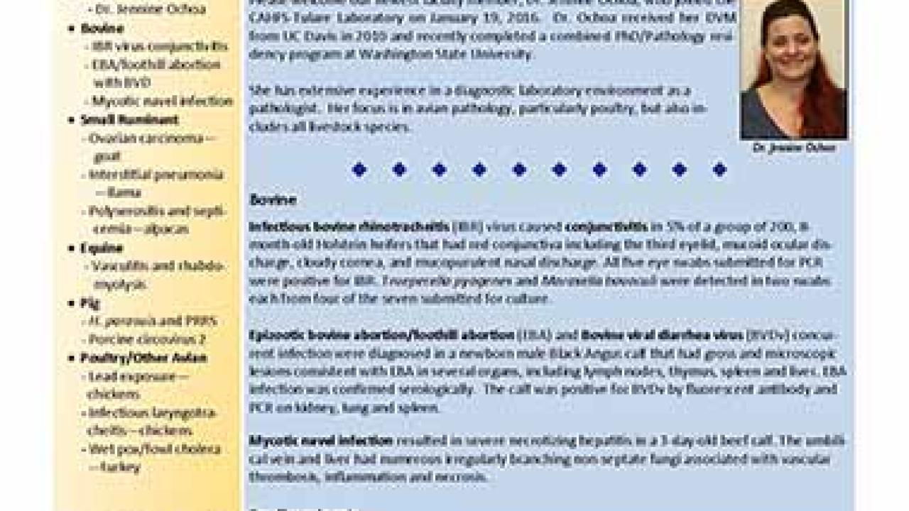 CAHFS Connection Newsletter February 2016
