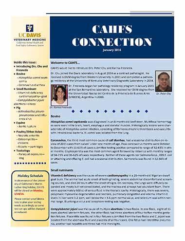 CAHFS Connection Newsletter January 2016