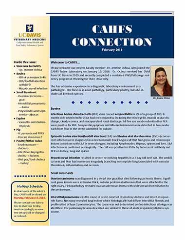 CAHFS Connection Newsletter February 2016