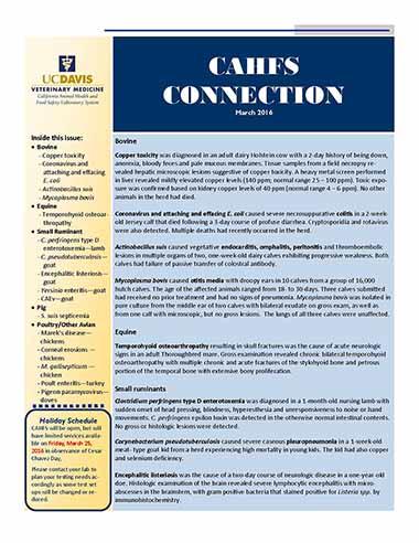 CAHFS Connection Newsletter March 2016