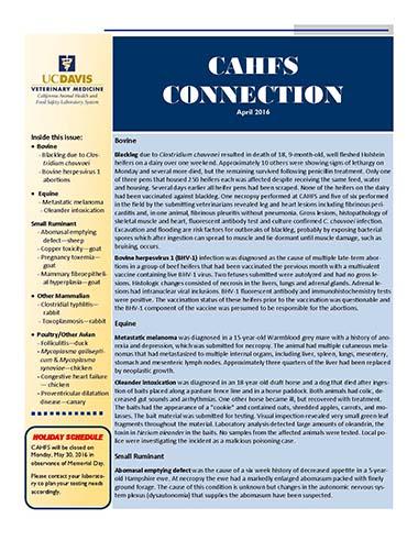 CAHFS Connection Newsletter April 2016