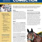 CAHFS Connection Newsletter June 2016