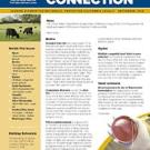 CAHFS Connection Newsletter September 2016