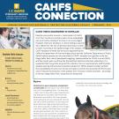 CAHFS Connection Newsletter February 2021